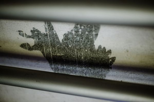 Folium Wandmalerei, Symbol, schwarze Farbe 