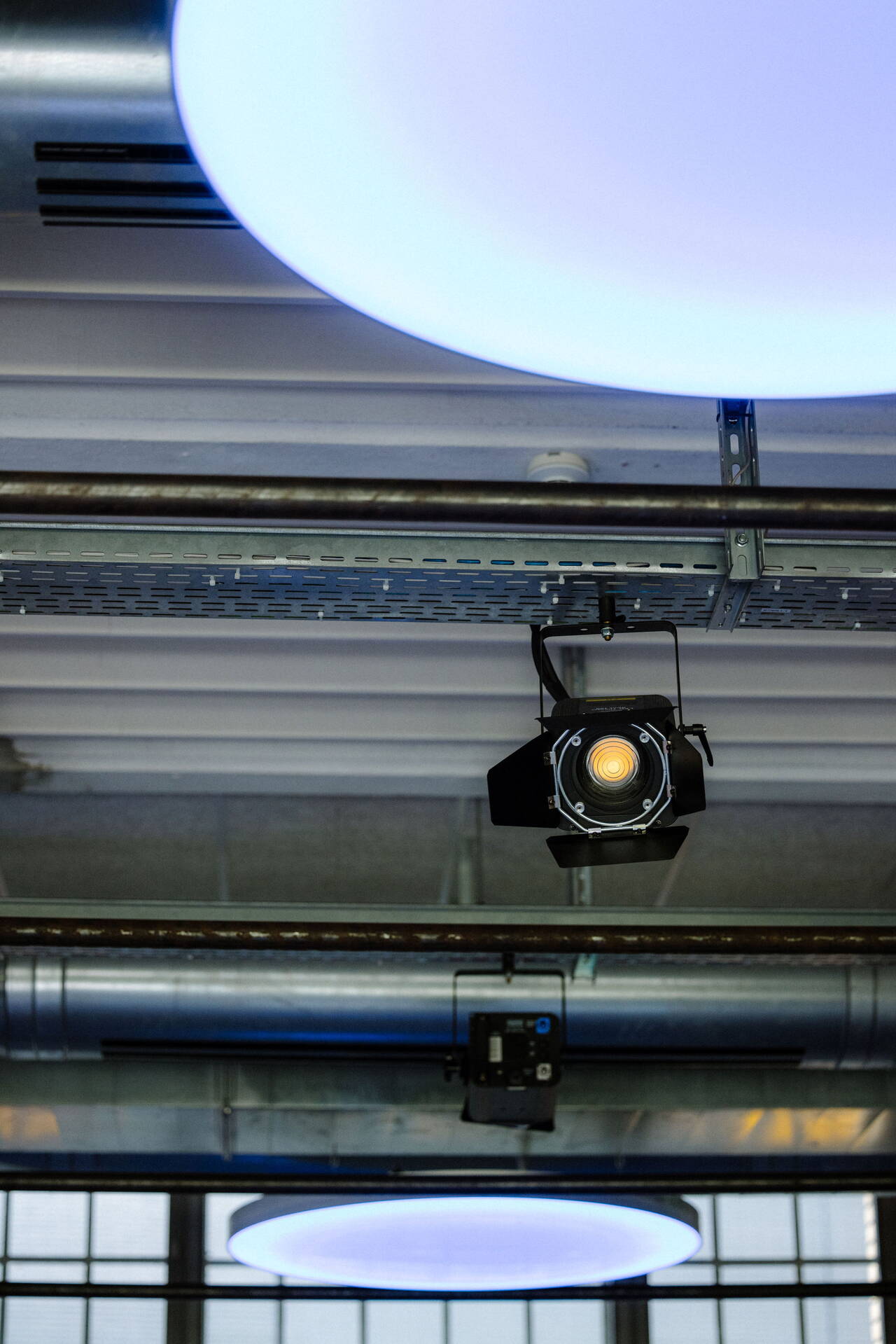 Spotlight in the folium Spotlight in the folium