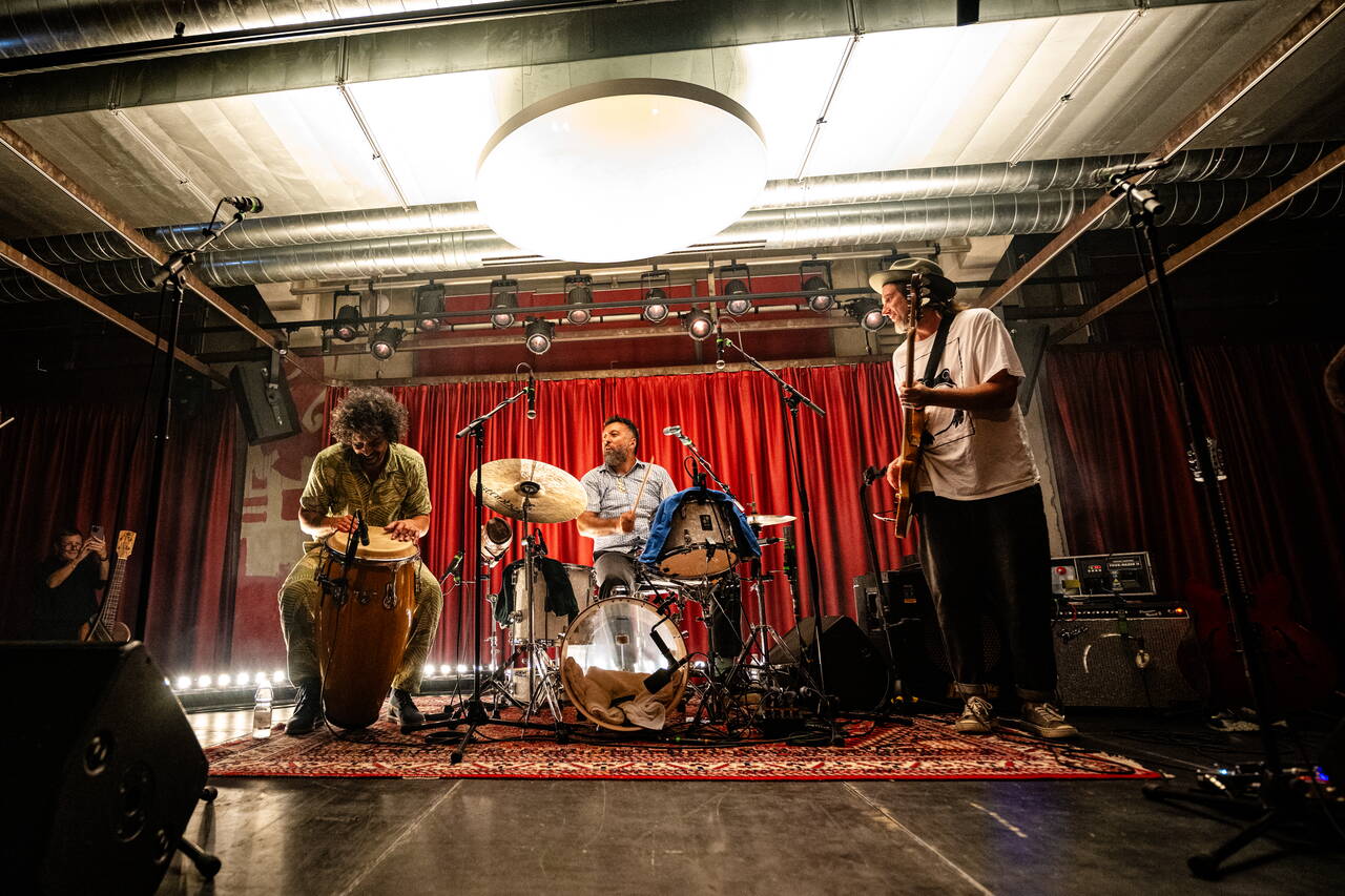 Concert in the Papiersaal Concert in the Papiersaal, stage, artist